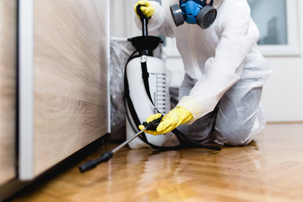 Best Mosquito Control Services  in Hamilton, AL