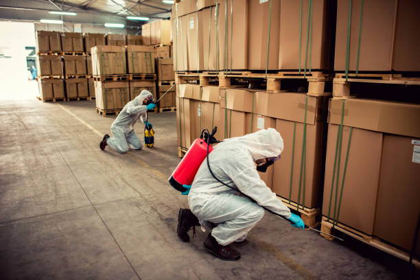 Best Affordable Pest Control Services  in Hamilton, AL