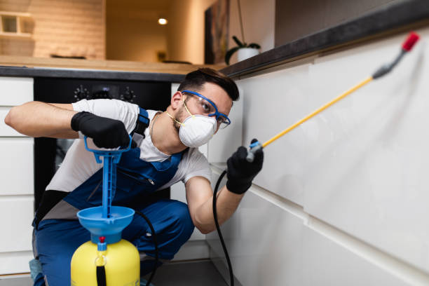 Best Cockroach Control Services  in Hamilton, AL