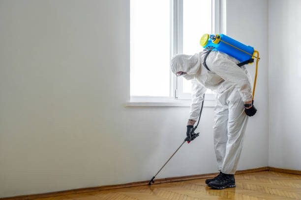 Best Best Pest Control Companies  in Hamilton, AL