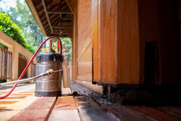 Best Wasp Removal Services  in Hamilton, AL