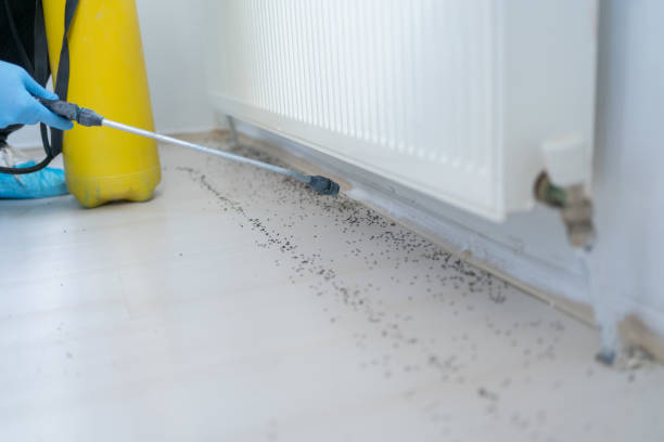 Best Affordable Pest Control Services  in Hamilton, AL