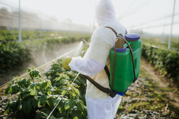 Best Best Pest Control Companies  in Hamilton, AL